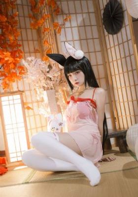 喜羊羊与灰太狼之奇侠大营救_BD韩语在线观看完整版