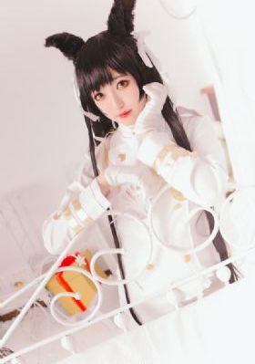 海豹看看动画片在线观看_HD手机在线观看