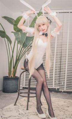 无遮动漫_DVD在线观看完整版