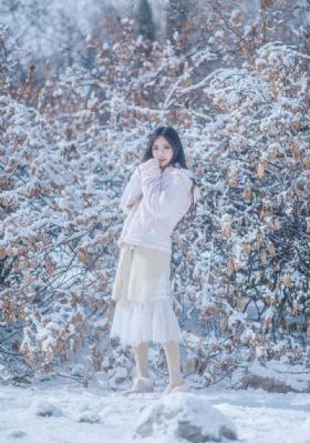 妻子4免费的电视剧完整版中文_DVD完整版观看
